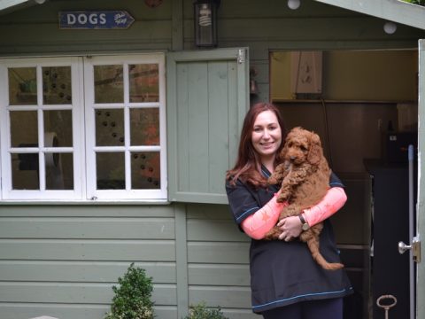 Gemma Casey, The Grooming Shed, Dog Grooming in Cheshunt, Hertfordshire